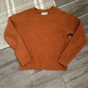 Everlane Xs burnt orange solid sweater